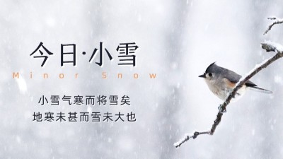 今日小雪：天渐寒，雪渐盛，愿您安康！