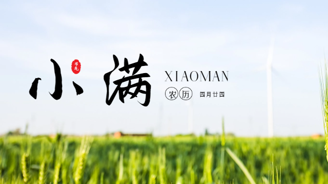 国晋：今日小满