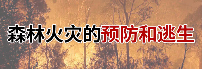 森林火灾的预防和逃生-700